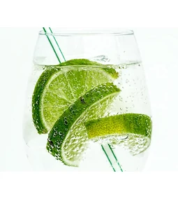 Miért fontos, hogy milyen tonikot használunk a gin tonik készítésénél